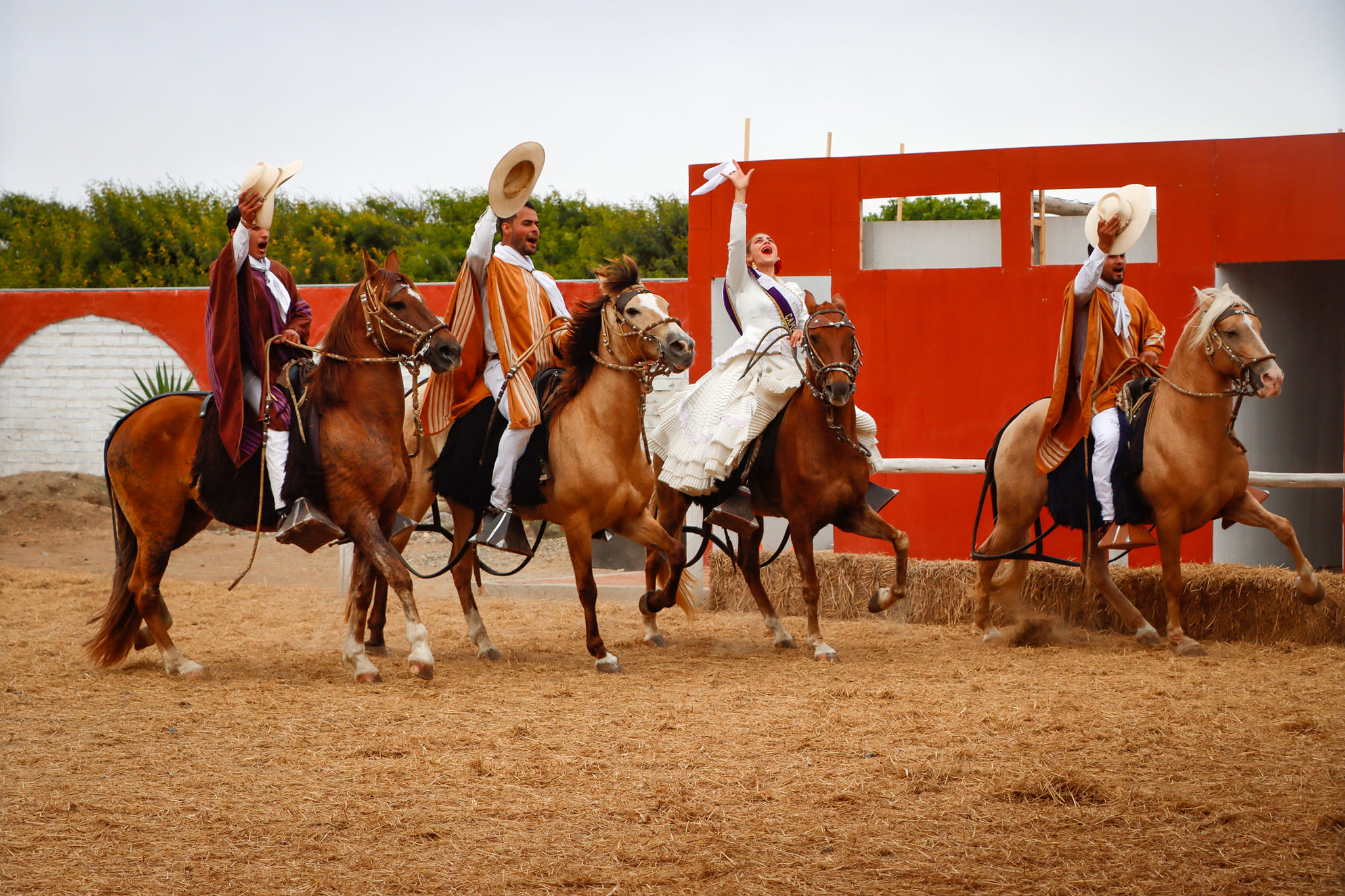 Show De Marinera Y Caballos De Paso