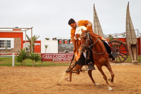 Show De Marinera Y Caballos De Paso